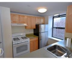 2 BR Apartment in the heart of Bed Stuy